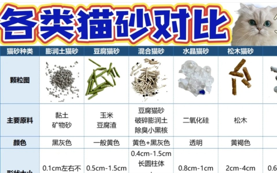 5年养猫经验6种猫砂怎么选哔哩哔哩bilibili