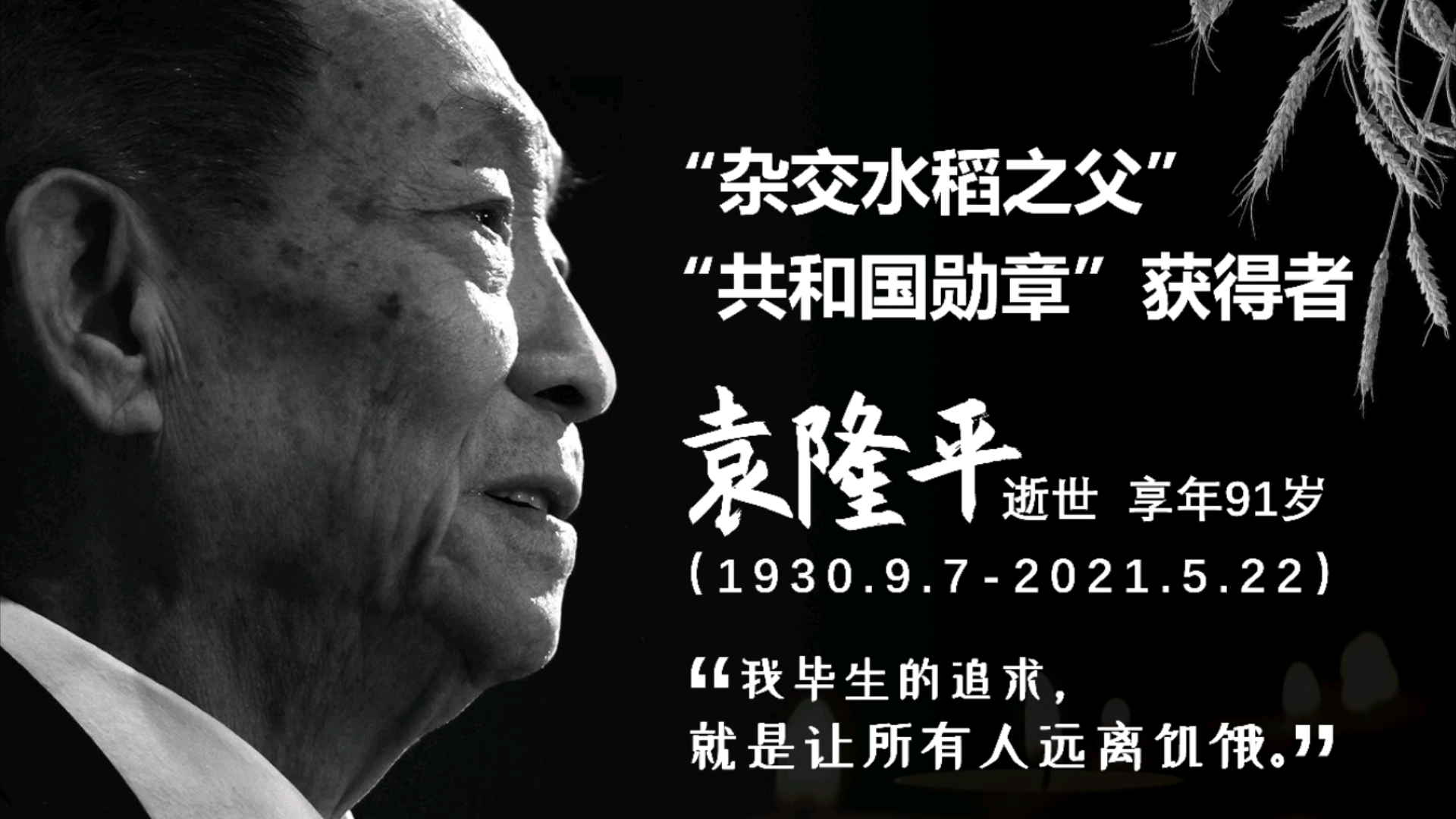 “杂交水稻之父”袁隆平因多器官功能衰竭,于2021年5月22日13时07分在长沙逝世,享年91岁.哔哩哔哩bilibili