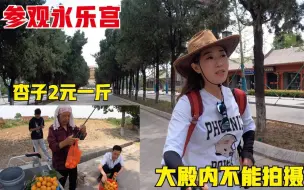 Download Video: 开车去芮城永乐宫，结果大殿内不让拍摄，村民卖的杏子一斤才2元