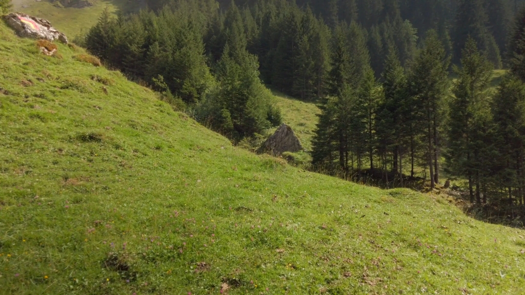 [图]漫步在瑞士小山村『搬运』