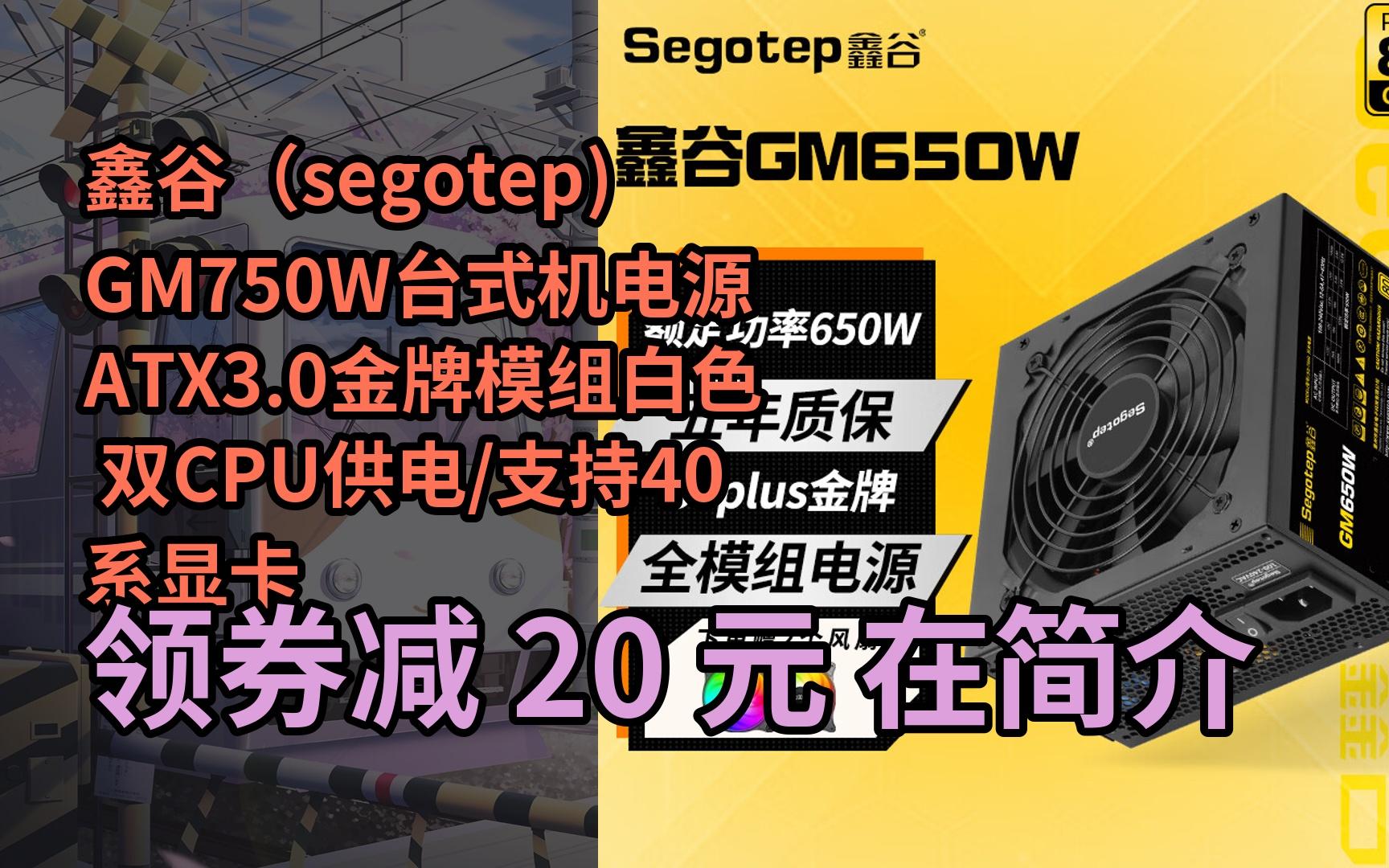 【隐藏促销】鑫谷(segotep) gm750w台式机电源atx3.
