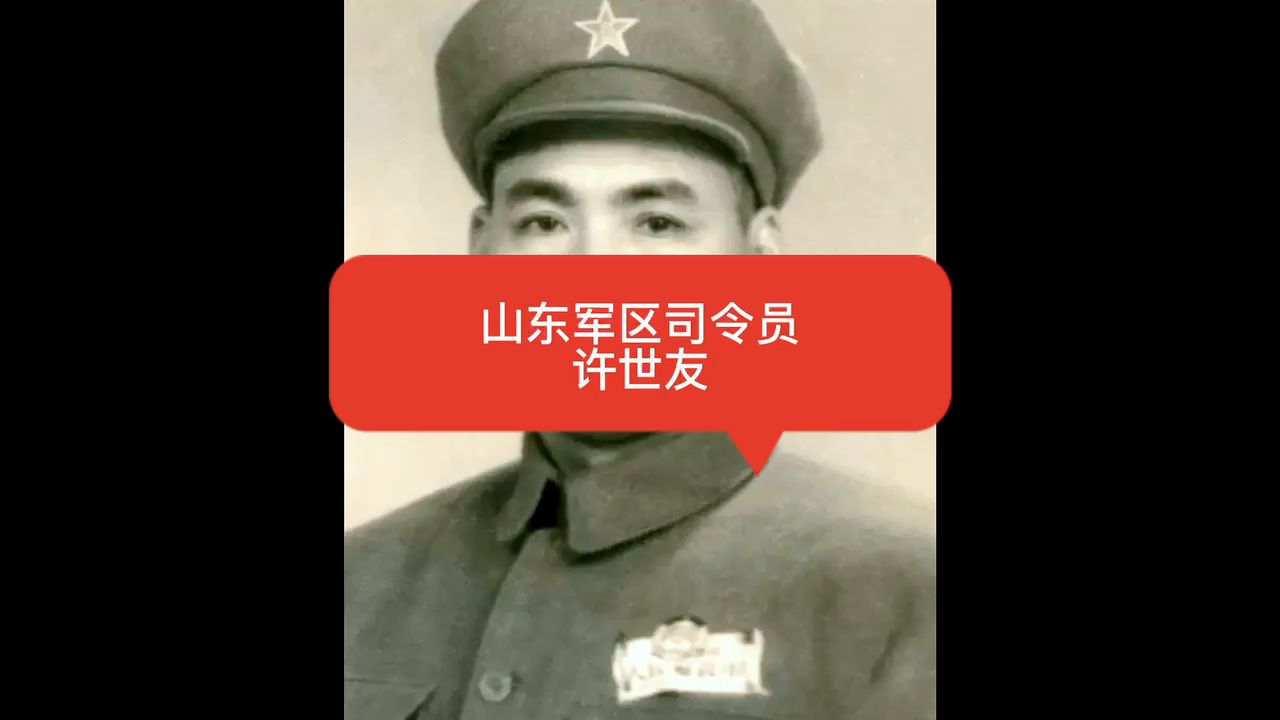 山东军区司令员——许世友哔哩哔哩bilibili