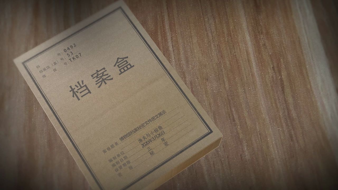 ae模板丨4k档案秘密文件图文展示