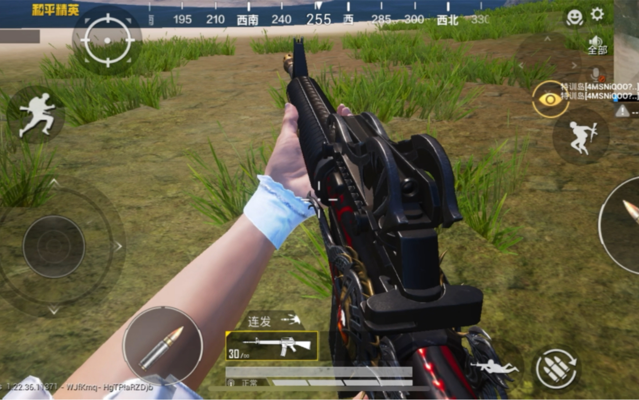 和平精英 m16a4 凝视深渊 突击步枪 皮肤