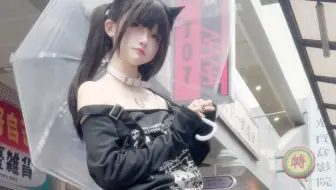 愿望是当一只猫咪