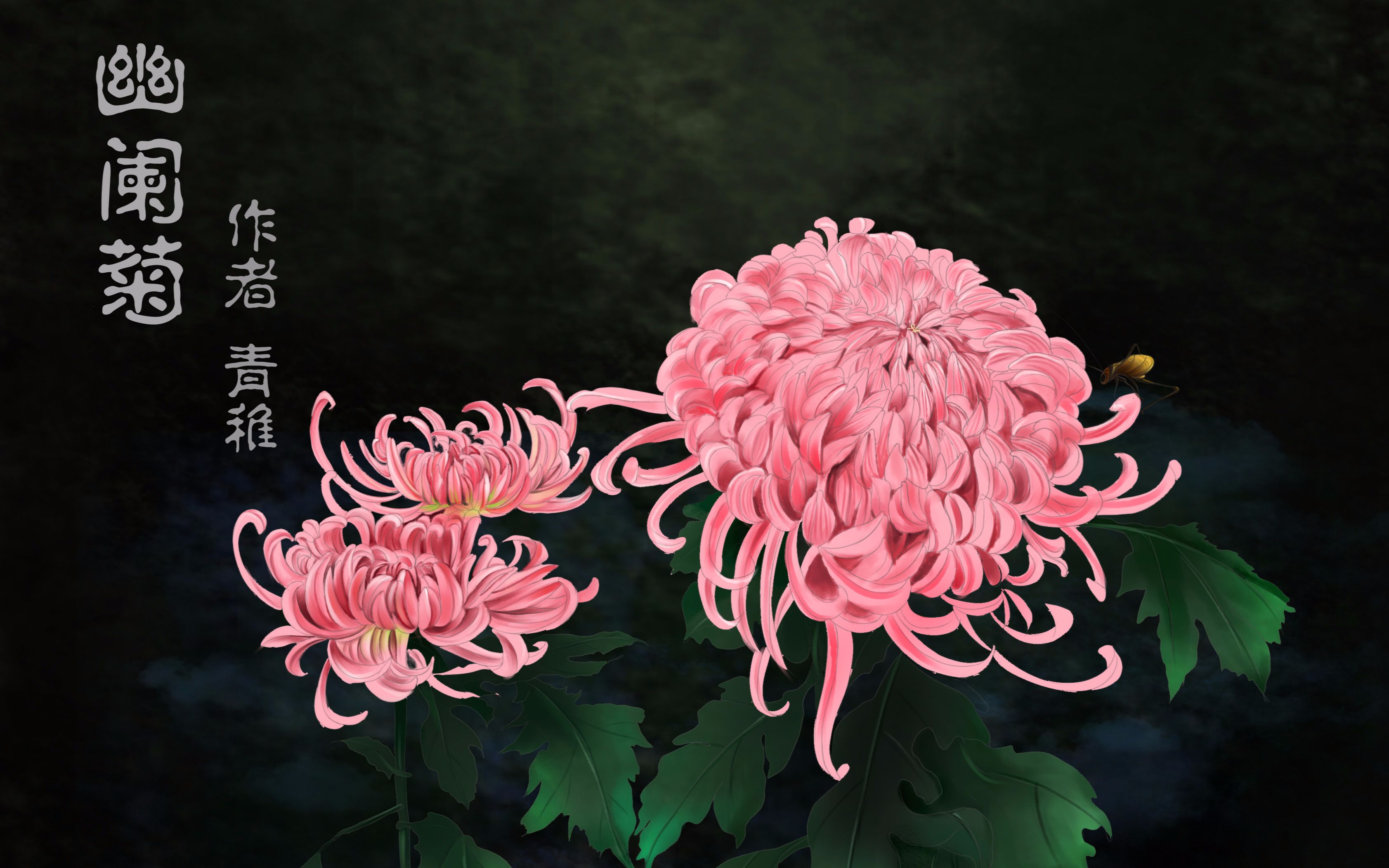 工笔幽阑菊线稿上色所有菊花的花语