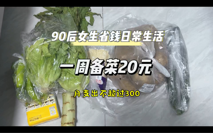 省钱备菜的一周花费不超过20元,又要努力开始攒钱了哦!省钱计划继续加油哔哩哔哩bilibili