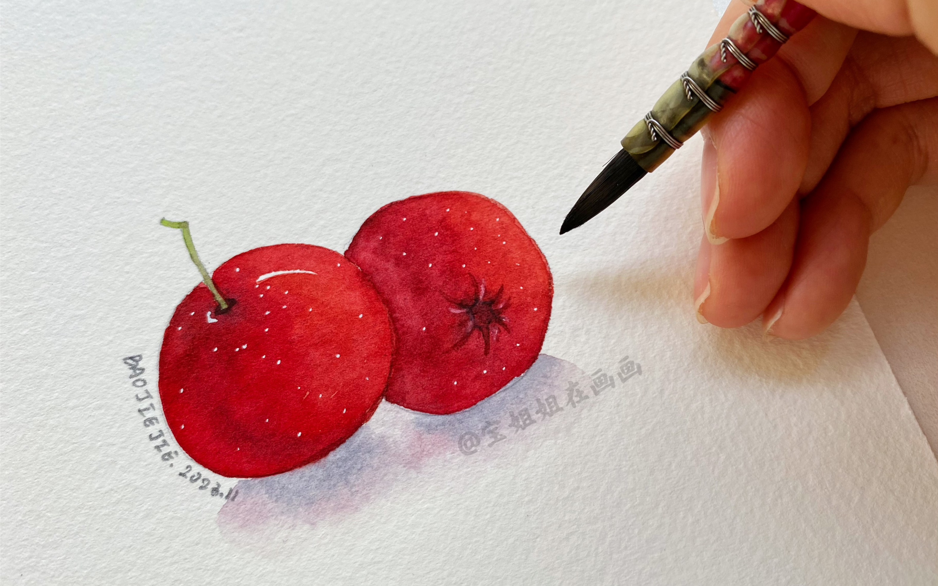 【172期】零基础水彩教程山楂