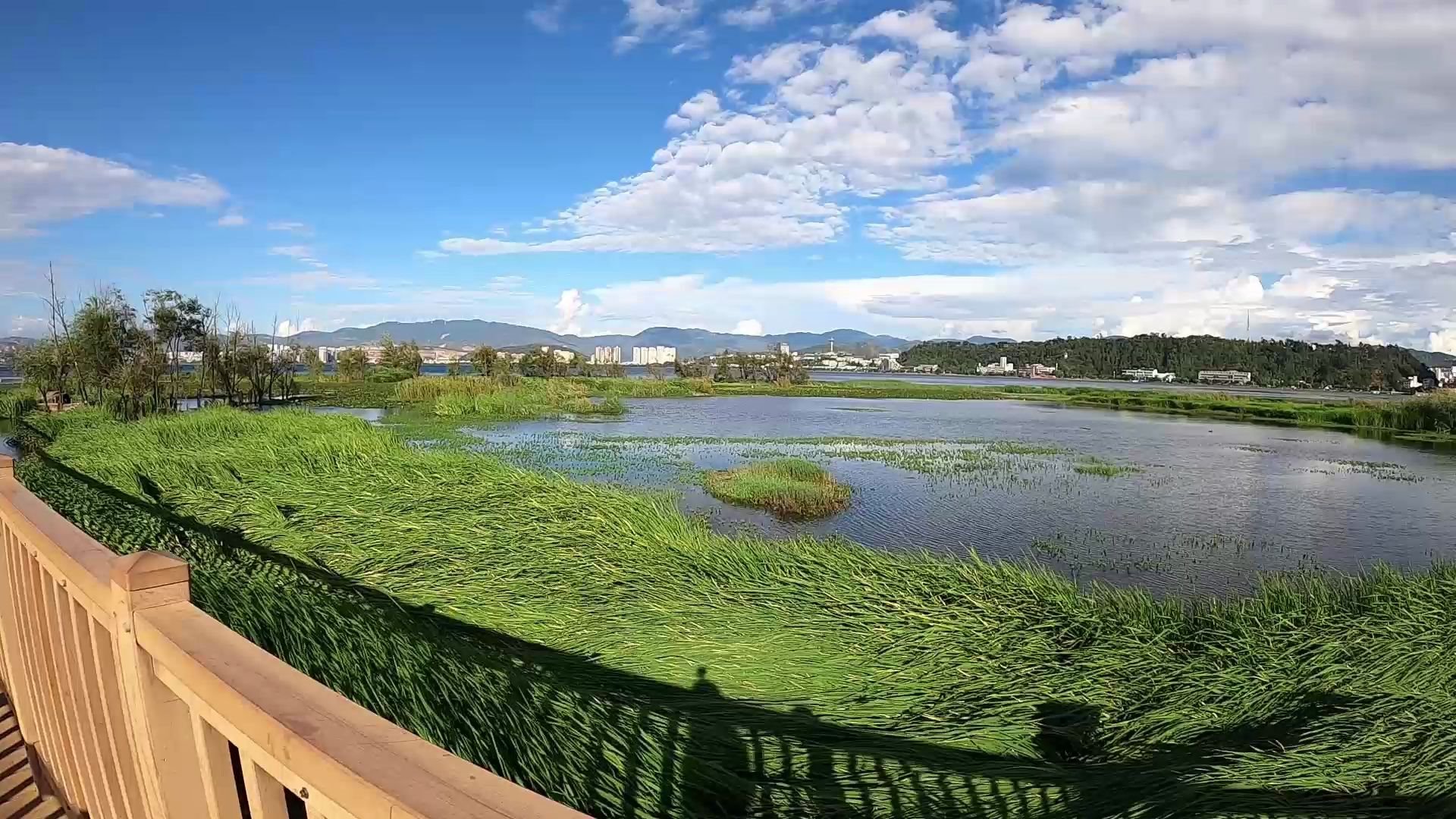 洱海月湿地公园