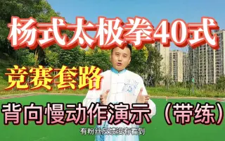 杨式太极拳 哔哩哔哩 Bilibili