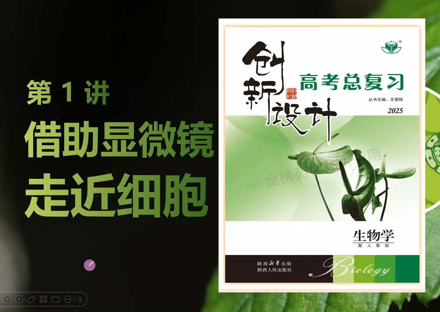 【2025高中生物一轮复习】1讲1走近细胞学说统一性多样性 新高考创新设计全国通用新教材新课标网课必修一必修二选择性必修123哔哩哔哩bilibili