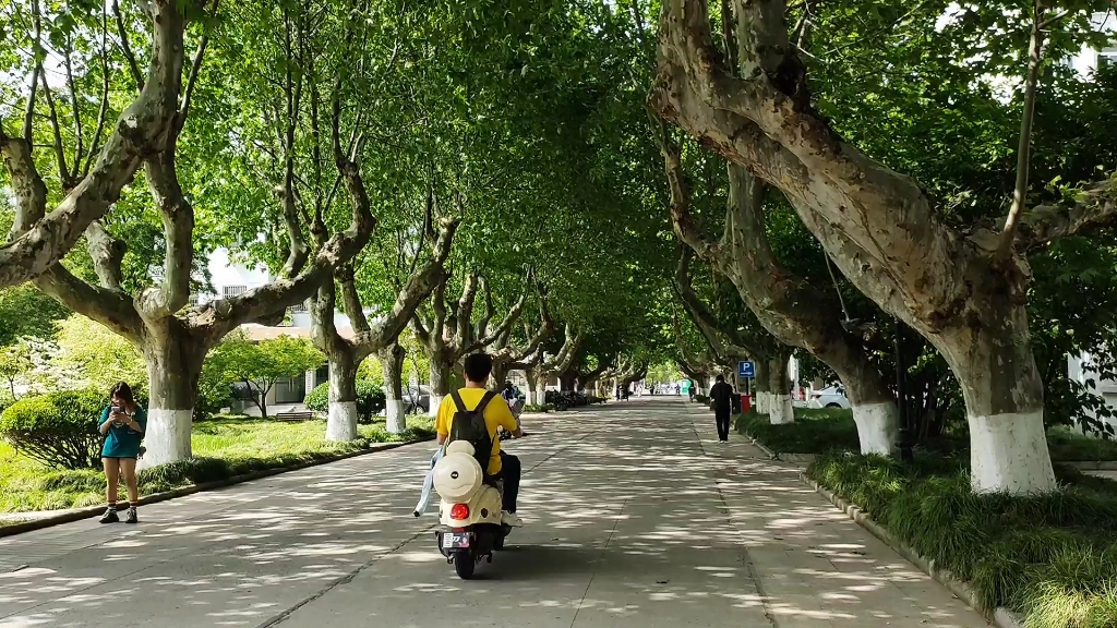 漫步扬州大学文汇路校区_哔哩哔哩_bilibili