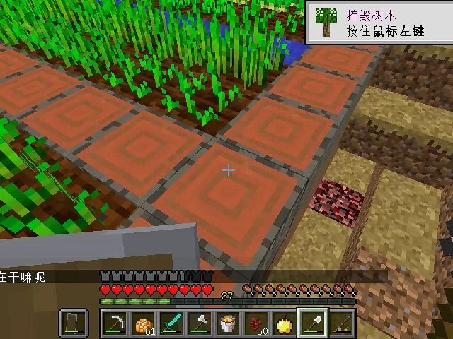 我的世界服务器多人联机生存第三季(9)