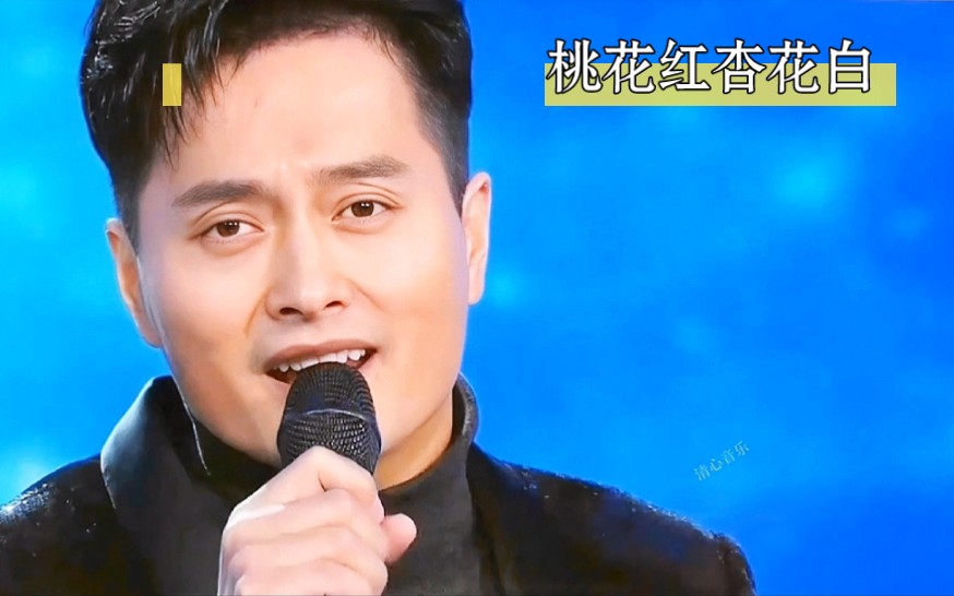 桃花红杏花白男声图片