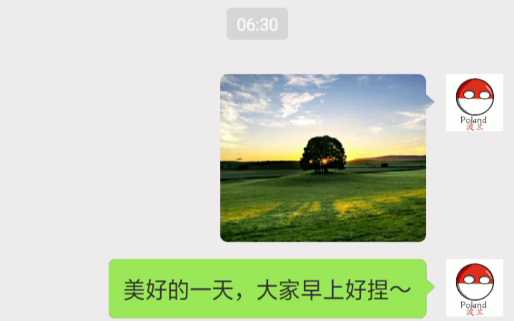 [图]【当波兰球有了微信】波兰球的早晨