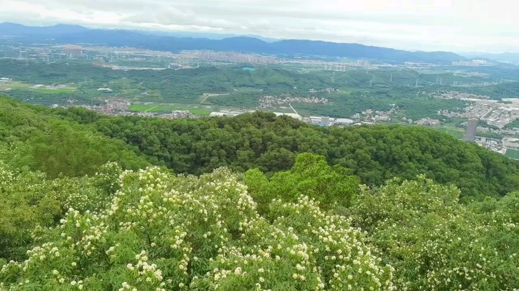 广州南香山森林公园