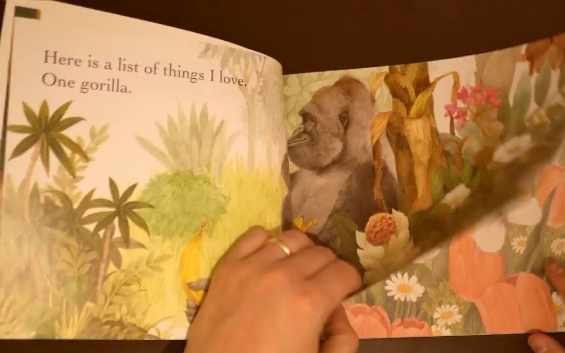 [图]One Gorilla Read Aloud