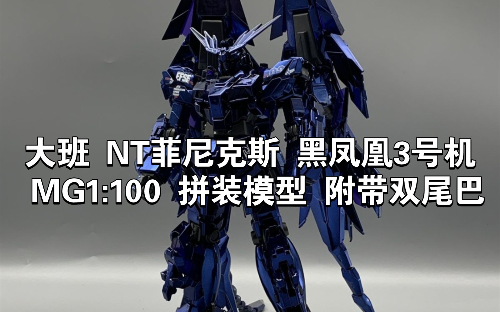 【今日胶点】大班 nt菲尼克斯 黑凤凰3号机 mg1:100 拼装模型 附带双