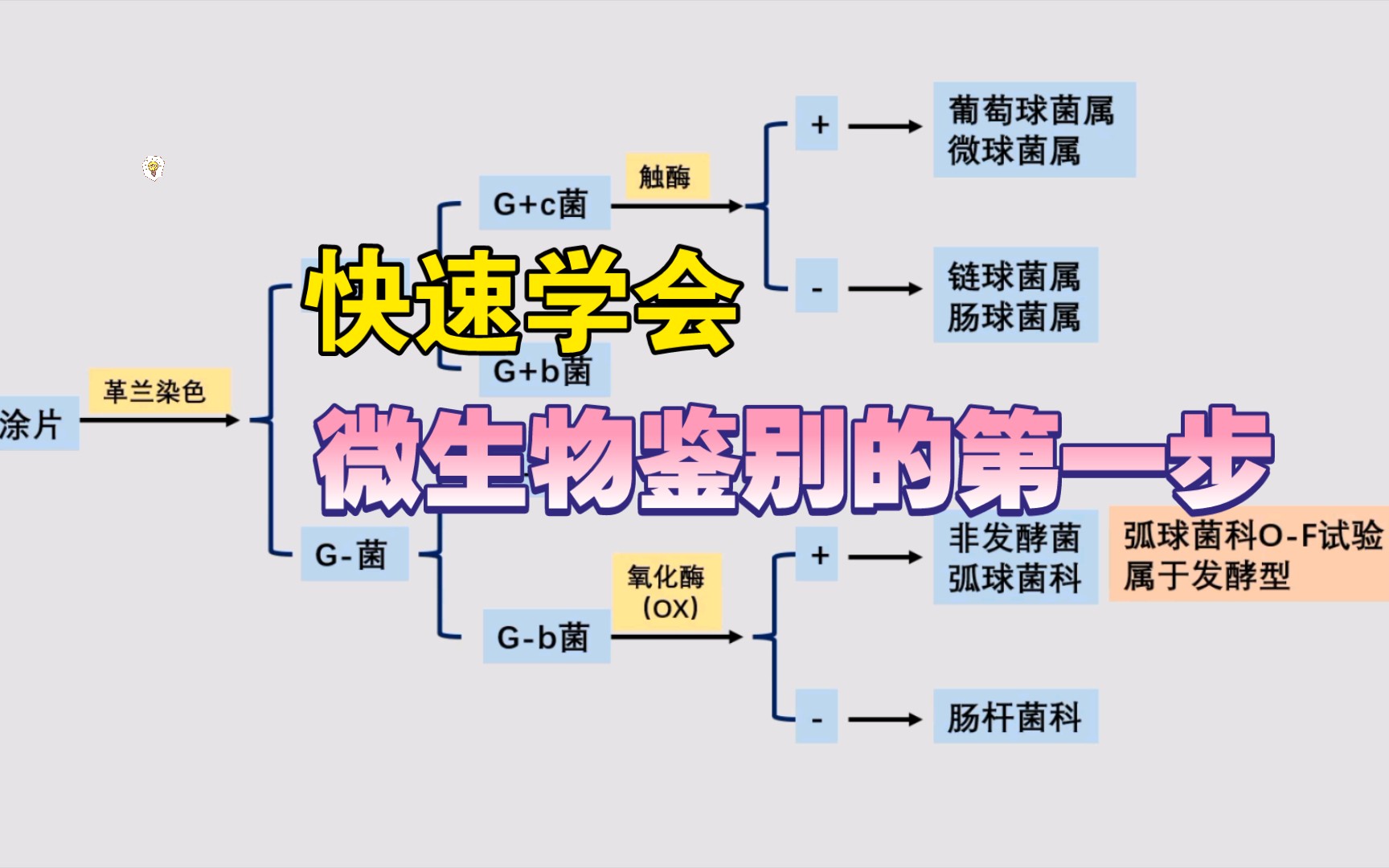 [图]实习学到的细菌鉴定的第一步