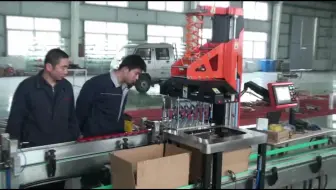 单柱装箱机视频