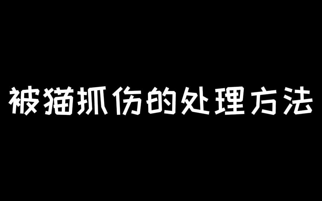 被猫抓伤,现场该如何快速处理,快来学一下吧!哔哩哔哩bilibili