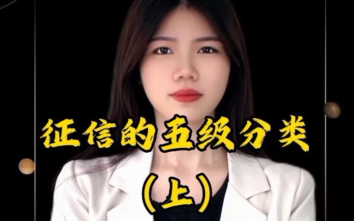 征信报告的五级分类(1)哔哩哔哩bilibili