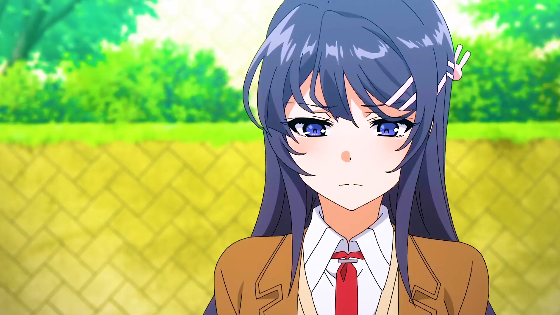 祝樱岛麻衣生日快乐!