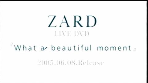 zard- What a beautiful memory, 2007-2009 中文字幕_哔哩哔哩_bilibili