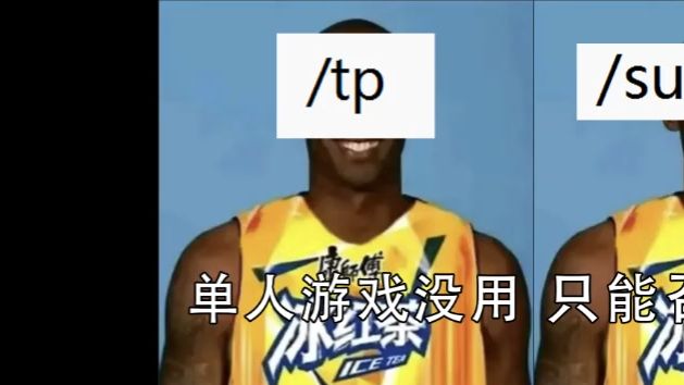 MC指令牢九门之 /tp