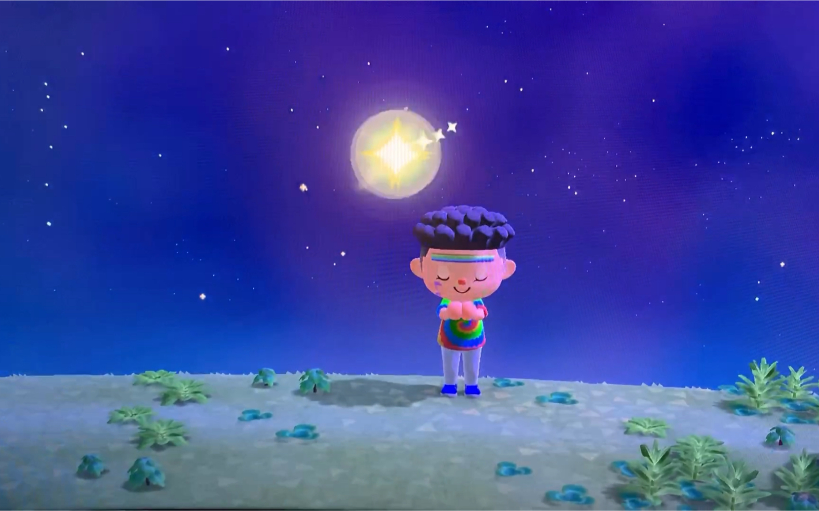 【gdd】《动物森友会》 当流星划过长空,!又想起来谁?