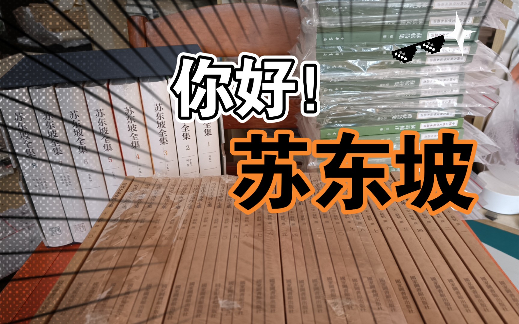 【籀书记】苏东坡全集 明成化本东坡七集 苏轼诗集 苏轼文集 苏诗补注 苏轼词编年校注哔哩哔哩bilibili