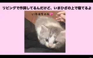 猫の名前 搜索结果 哔哩哔哩弹幕视频网 つロ乾杯 Bilibili