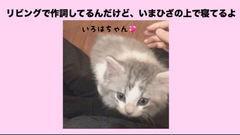 まふまふ いろはの名前 まふまふ逗猫短片段 哔哩哔哩 Bilibili