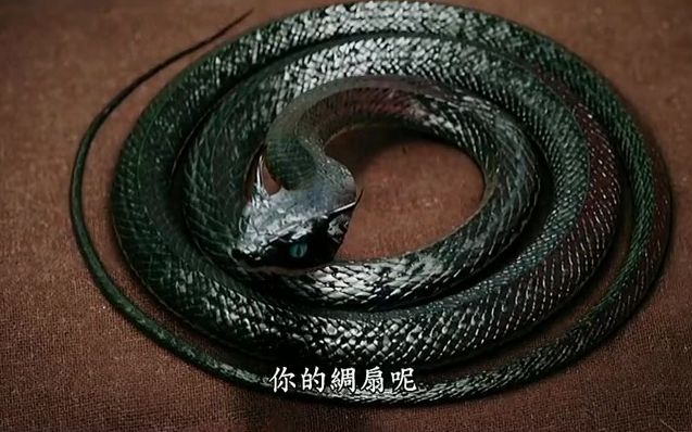 【三生三世】凡人自浅把夜华当做蛇 两人同床共枕_哔哩哔哩_bilibili