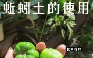 Download Video: 懒人的蚯蚓土用法：无需分离蚯蚓土，蚯蚓粪，蚯蚓蛋，一股脑儿堆进去做底肥。同时进入堆入滤液以及有机肥可以作为蚯蚓的食料。整个土壤都会变成蚯蚓土。不会烧根肥力充分。