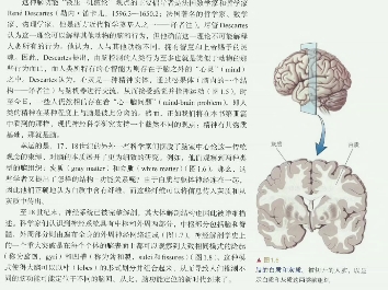 [图]朗读《神经科学:探索脑（第四版）》第一章神经科学:过去、现在和未来 1.1引言 至1.2.4中段