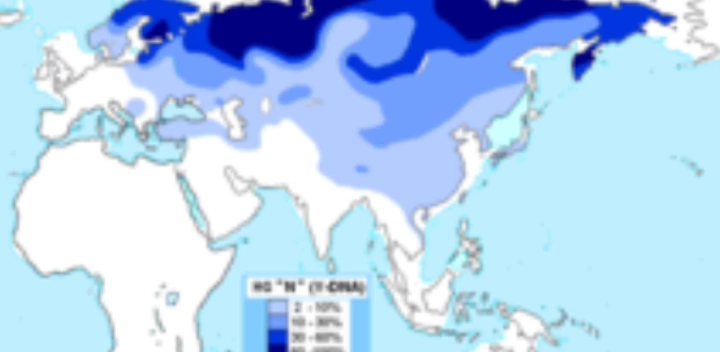 单倍群N 乌拉尔语系/阿尔泰语系 西伯利亚黄种人 乌拉尔语系黄种人基因哔哩哔哩bilibili