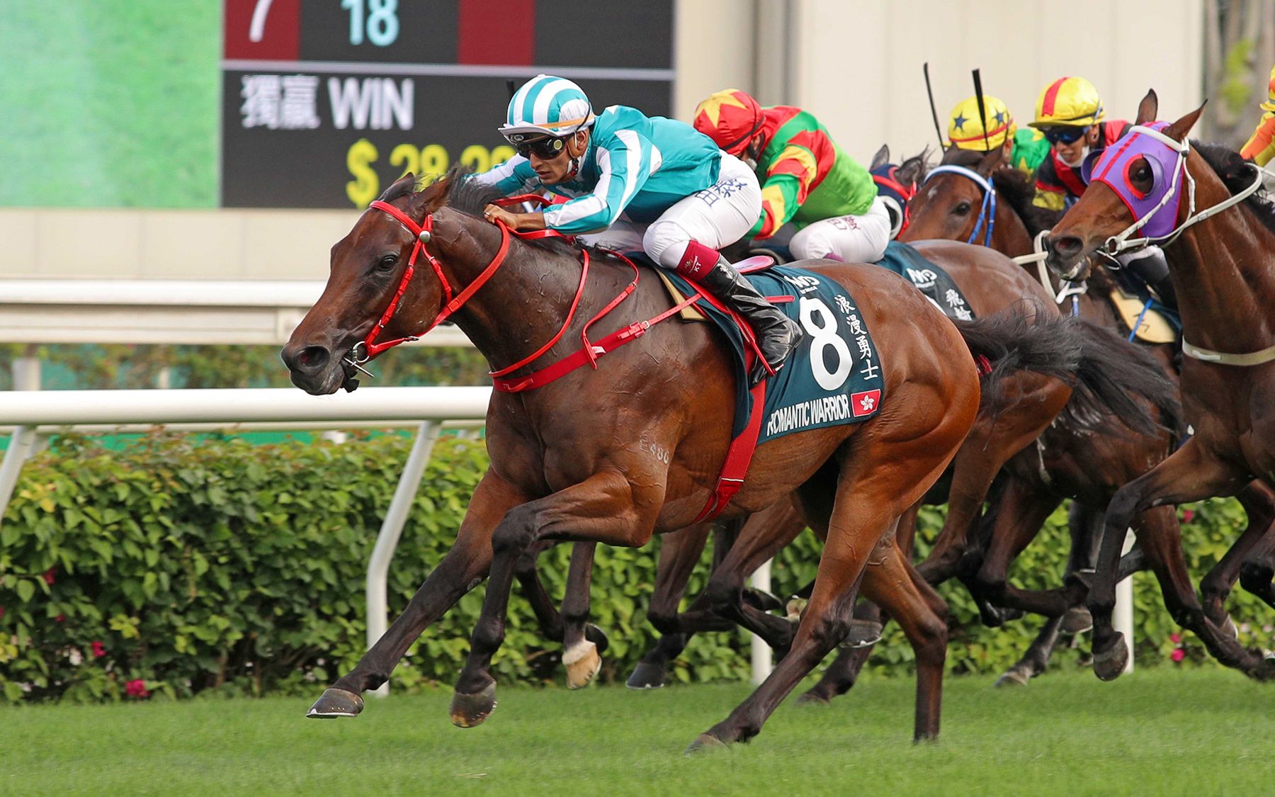 赛马2022年香港女皇杯浪漫勇士romanticwarrior