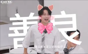 Download Video: 俊尼是世界上最善良的猫咪了