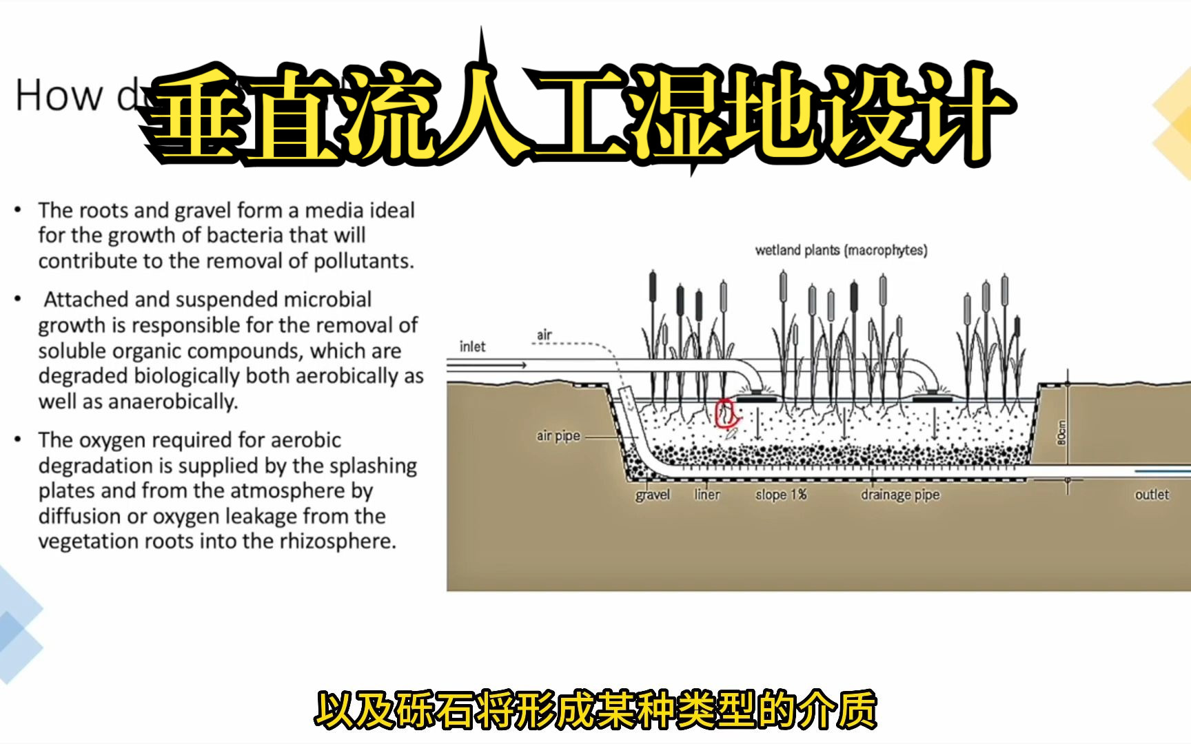 3垂直人工湿地设计哔哩哔哩bilibili