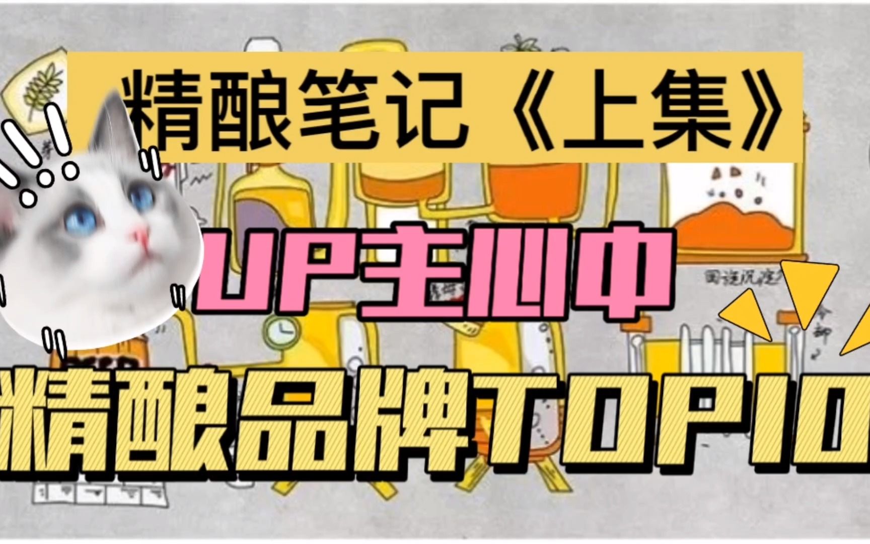 从入门到老饕,带你了解精酿知识 | 【UP主心中的精酿啤酒TOP10】国外篇上哔哩哔哩bilibili