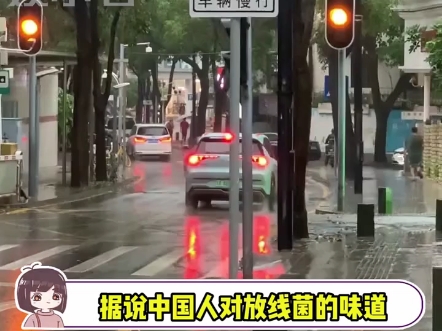 雨后的泥土味原来是放线菌的味道哔哩哔哩bilibili