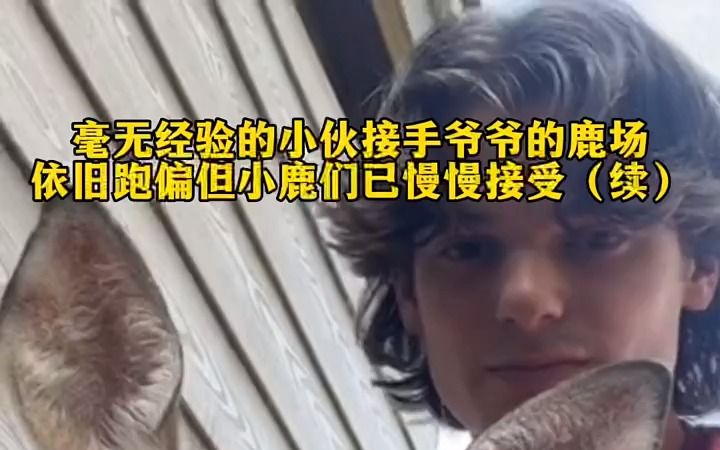 (续集来了)毫无经验的小伙接手爷爷的鹿场,依旧跑偏但小鹿们已慢慢接受哔哩哔哩bilibili