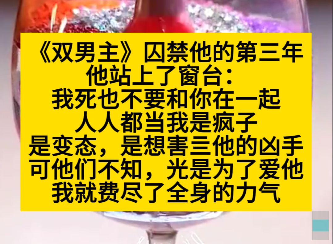 [图]双男主 囚禁他的第三年，他站上了窗台。人人都说我是个疯子，但我爱他就花光了力气，小说推荐