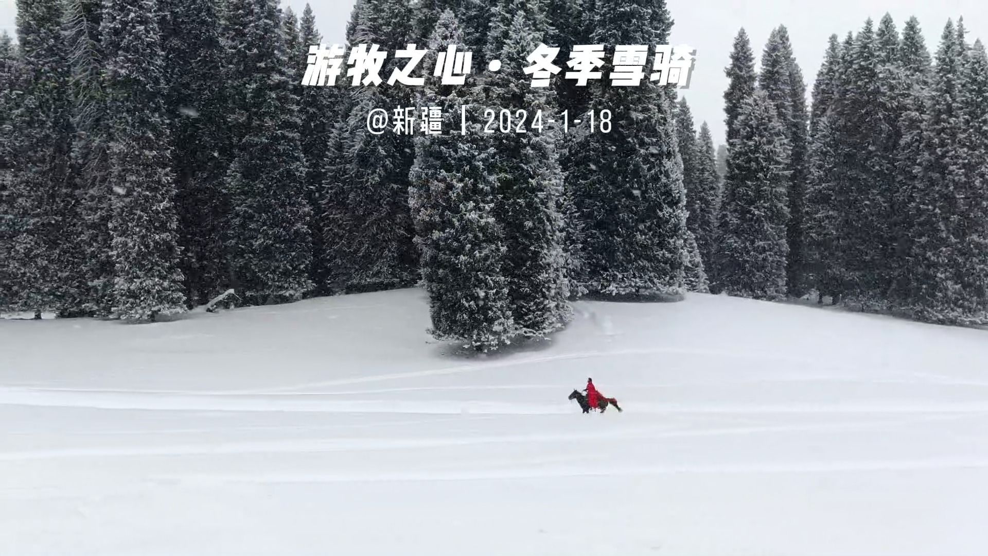 美哭了~雪中骑马巅峰美景哔哩哔哩bilibili