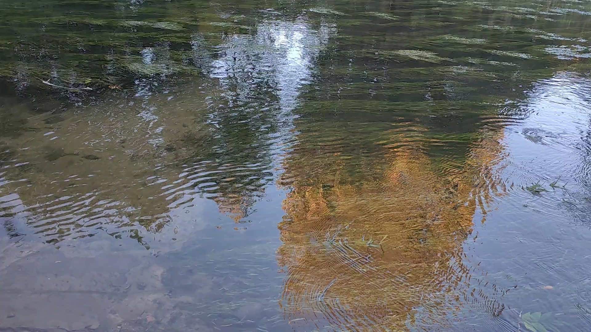 平静的河面能否带给你平静的心情