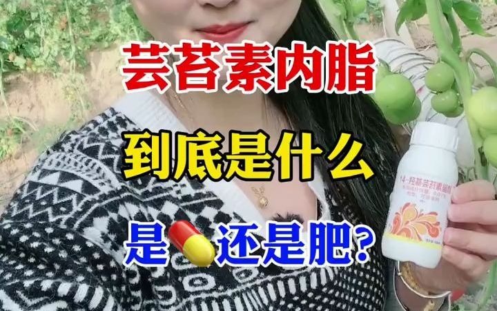 【三农】芸苔素内脂到底是什么?是还是肥?哔哩哔哩bilibili