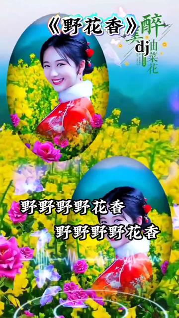 《野花香》哔哩哔哩bilibili