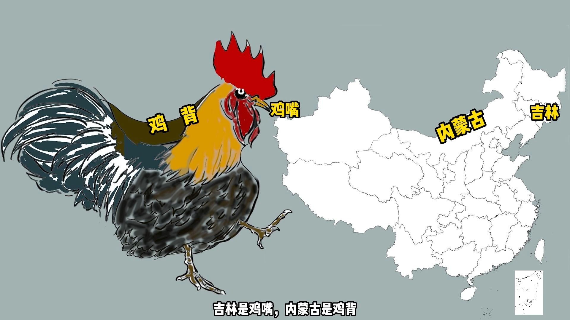 假如中国地图是只大公鸡,各省属于哪个部分?