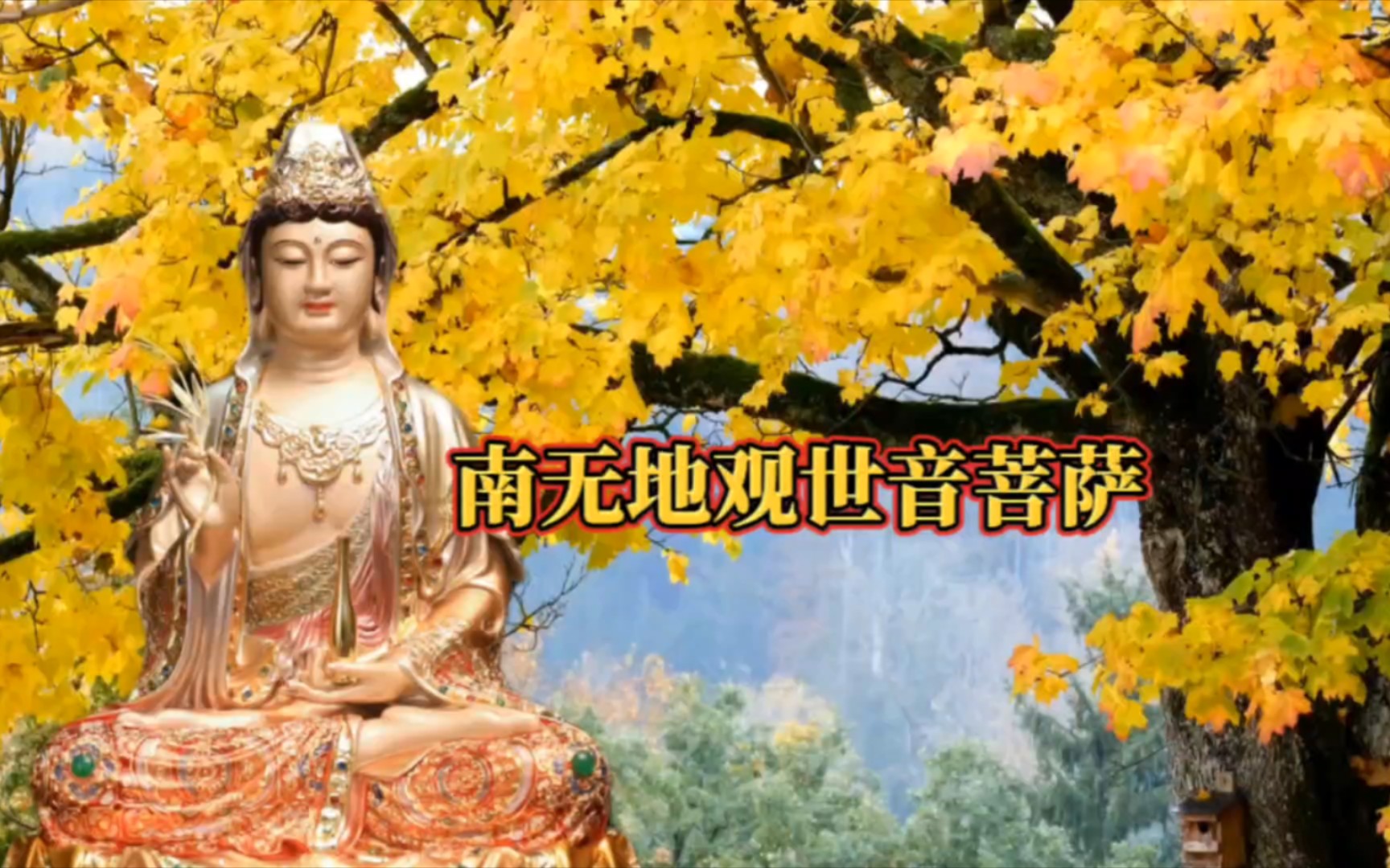 恭迎《南无观世音菩萨》圣诞日 祈愿吉祥如意